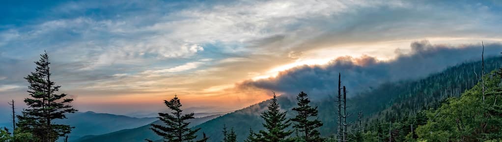Clingmans, collection, dome