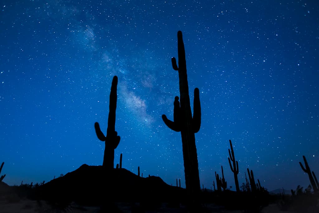 Sonoran Desert National Monument