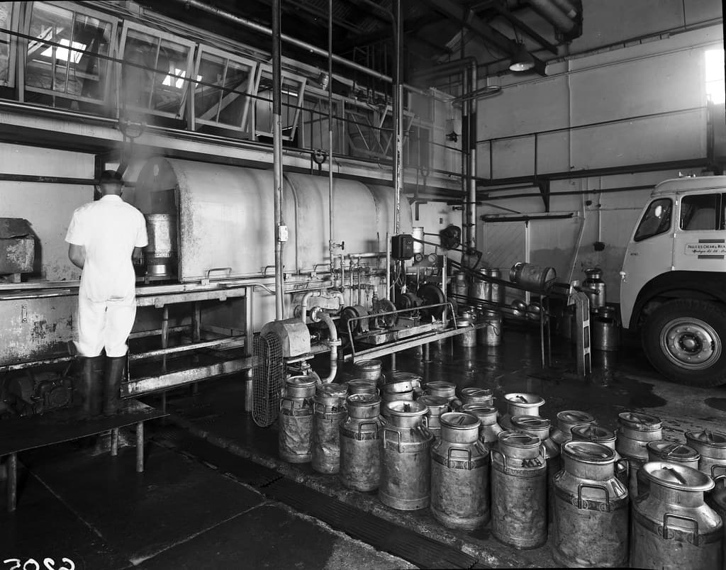 Milk pasteurising equipment - Peters and Pauls factories, Brisbane.