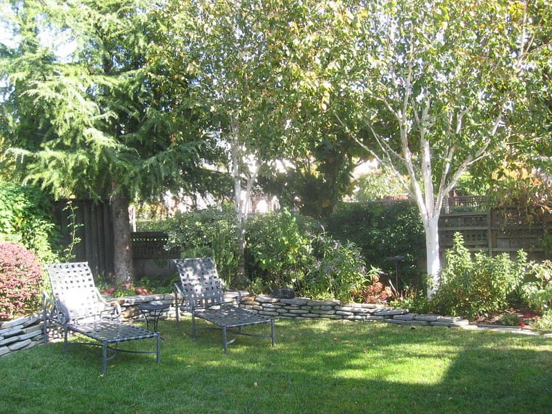 Cynthiagingerich, jeffneedham, siliconvalley