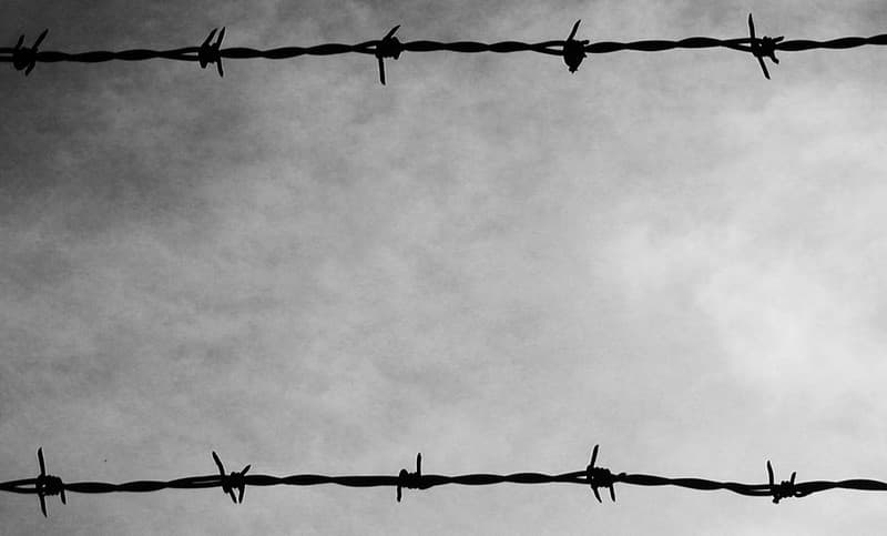 Barbed wire sky