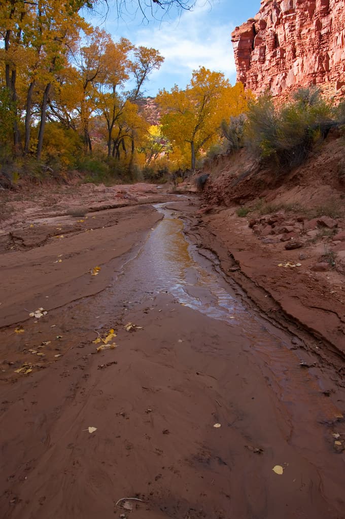 Kitchen Canyon
