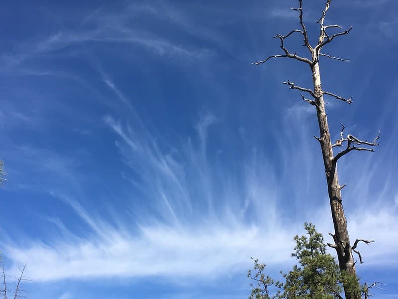 I The Sky