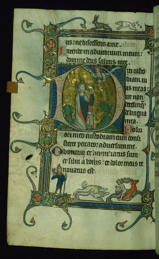 Thcentury, binding, book