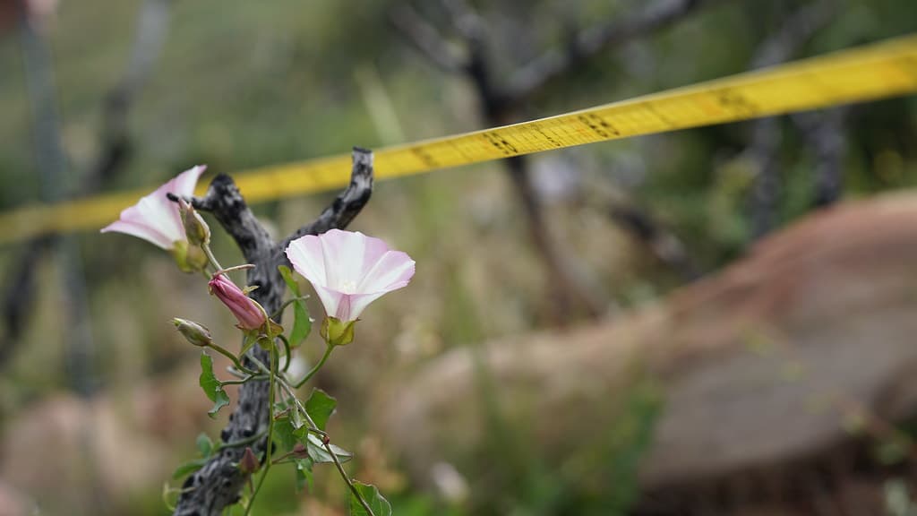 Native Plant Community Monitoring