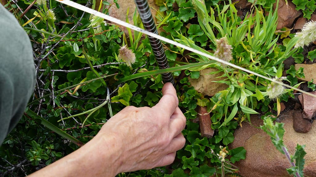 Native Plant Community Monitoring