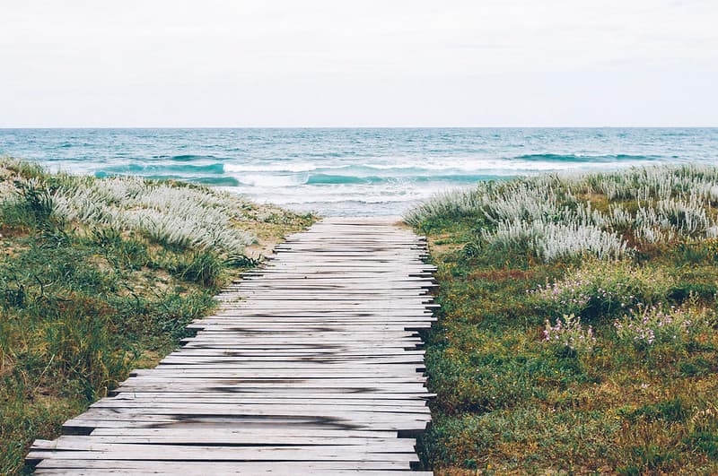 Wood Planks on Path to Ocean
