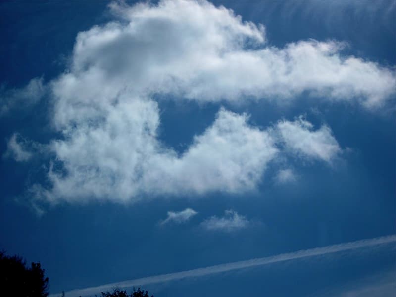 Cloud Spelling
