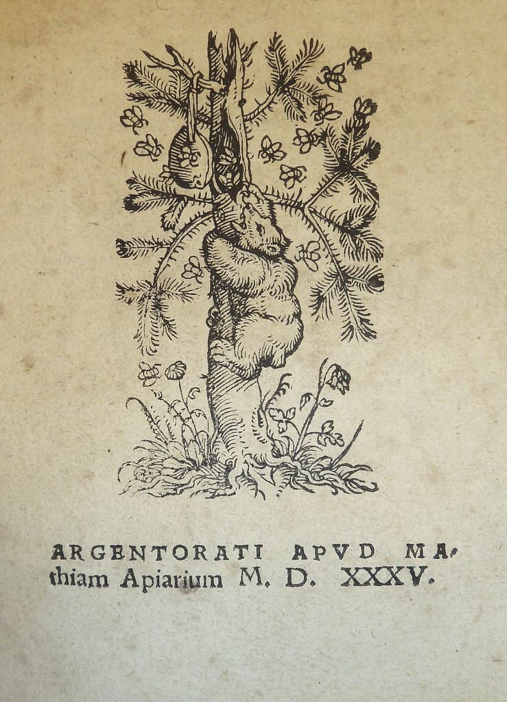Device of Strasbourg printer Mathias Apiarius, ca. 1500-1554