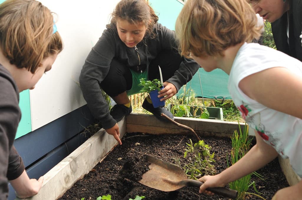 Earthday, solar, thorndonschool