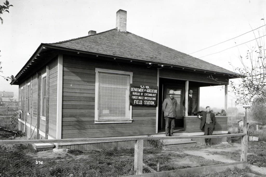Ashland, bur, bureauofentomology