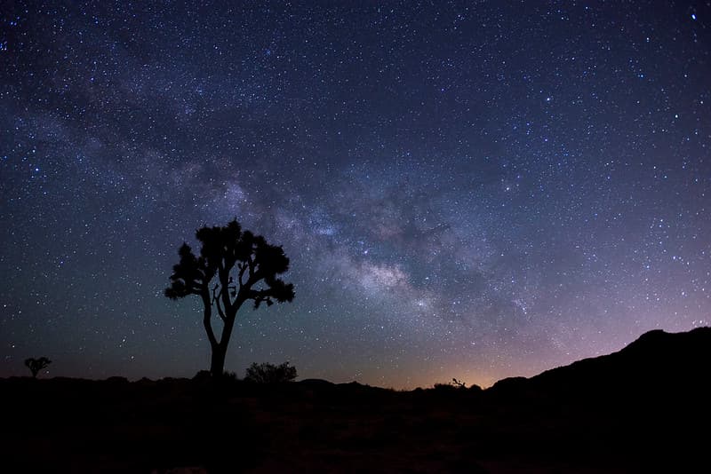 Night Sky