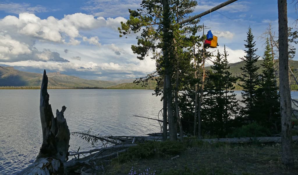 Food bags hanging on bear pole