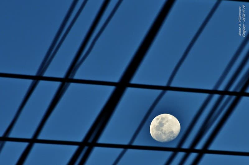 Tras los cables