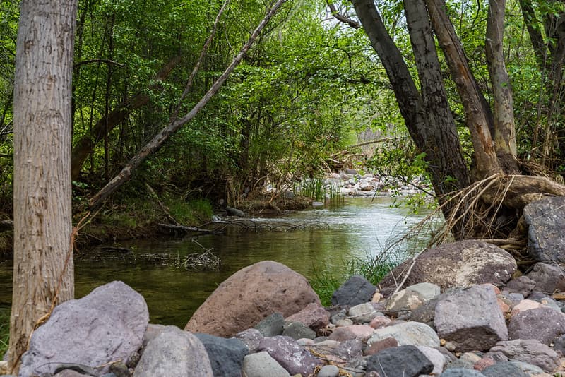 Purple Mountain on Fossil Creek