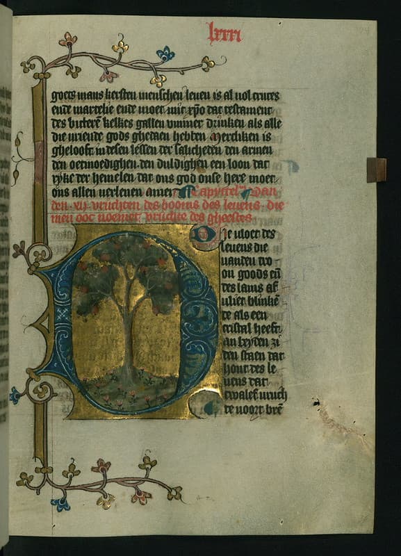 Book, codex, devotional