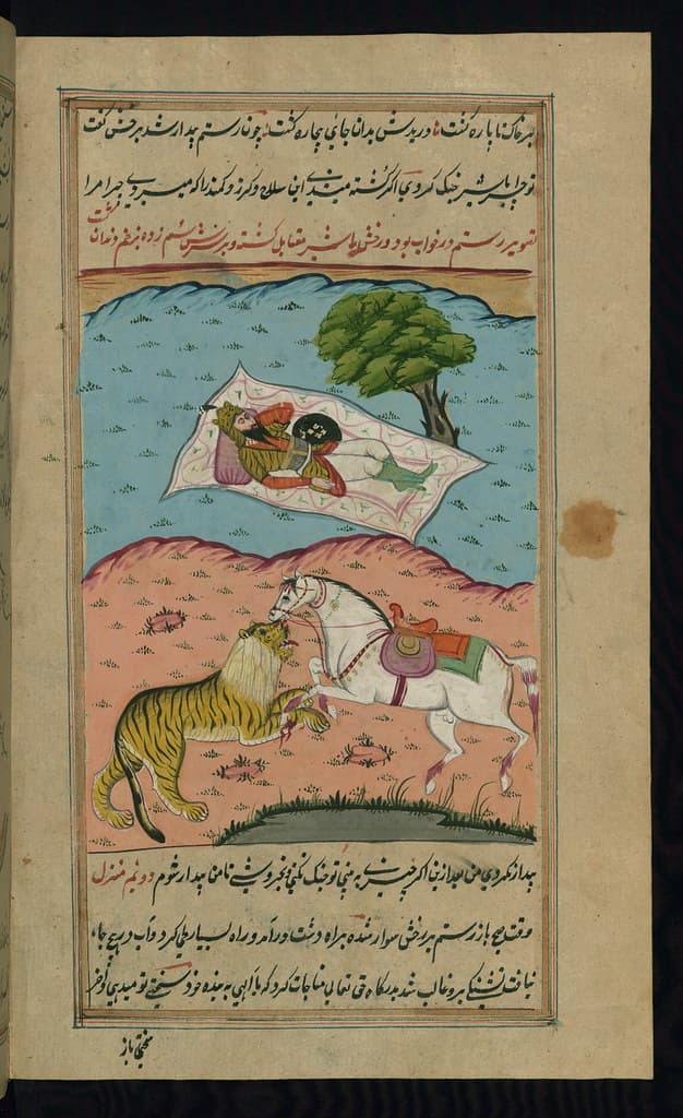 Codex, illumination, illustration