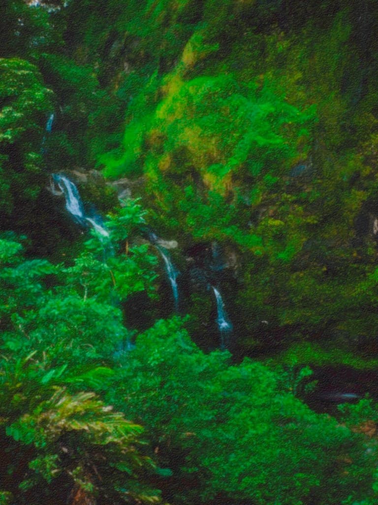 Waterfall on the way to hana