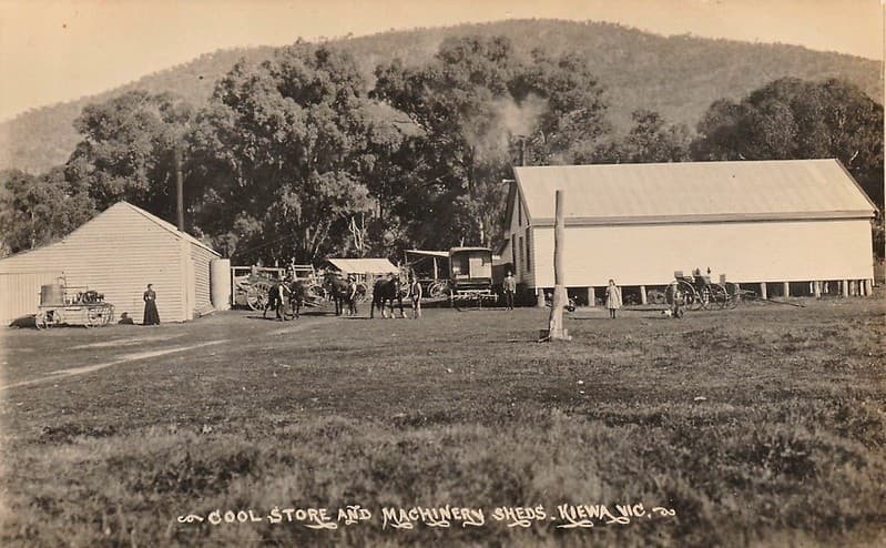 Cool Store and Machinery Sheds at Kiewa, Victoria - very early 1900s