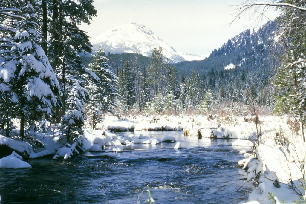 Snow Survey03