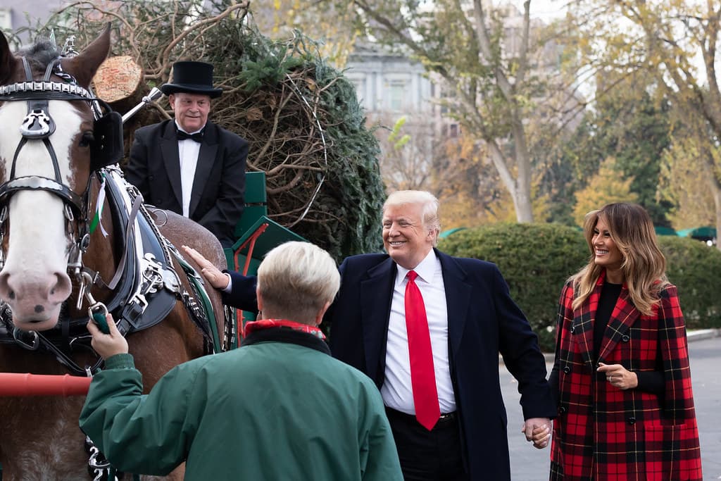 The White House Christmas Tree Arrival
