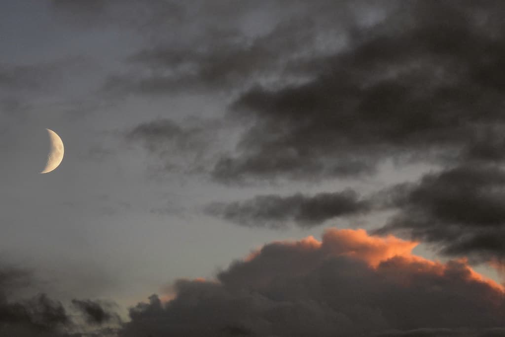From my window