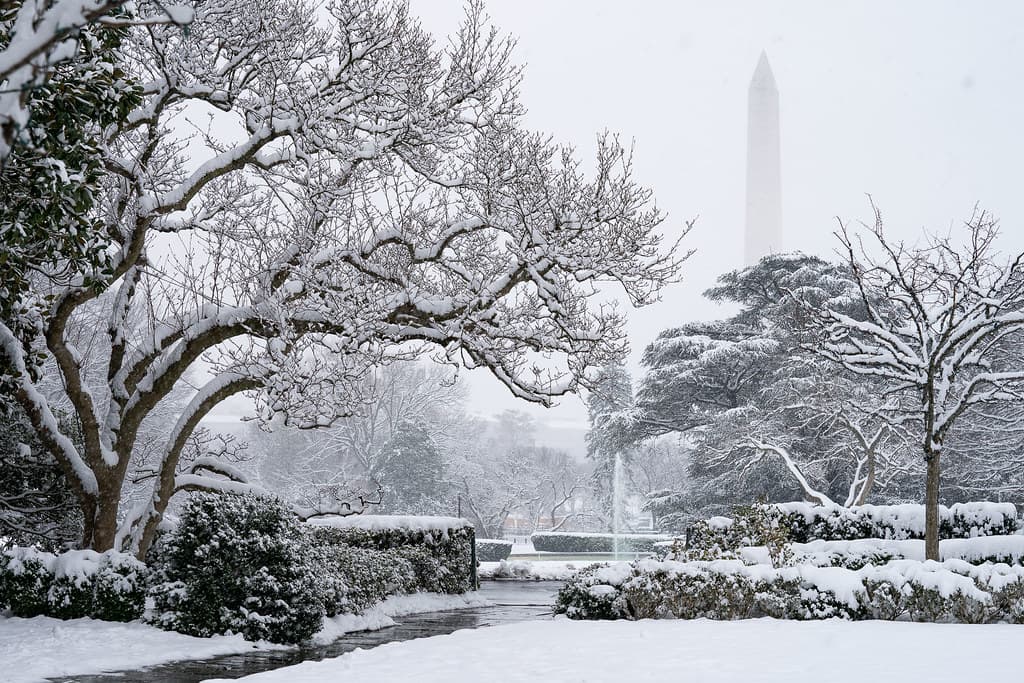 The White House Grounds Covered in Snow on January 13, 2019