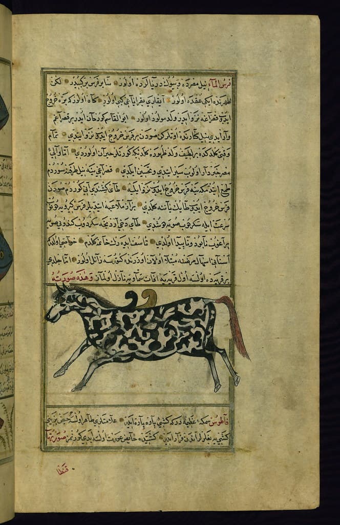 Thcentury, astrology, book
