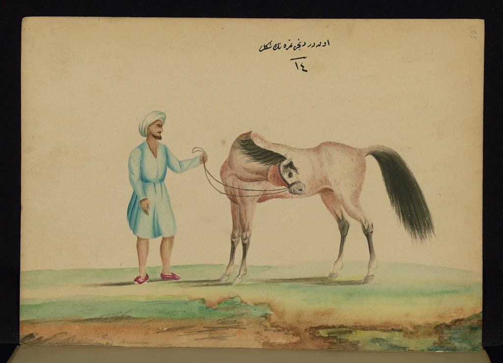 Book, codex, illustration