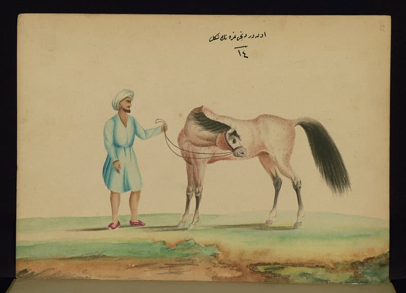 Book, codex, illustration