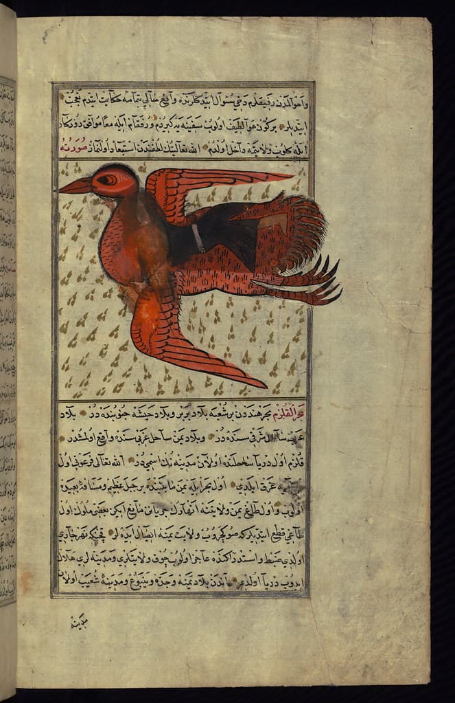 Thcentury, astrology, book