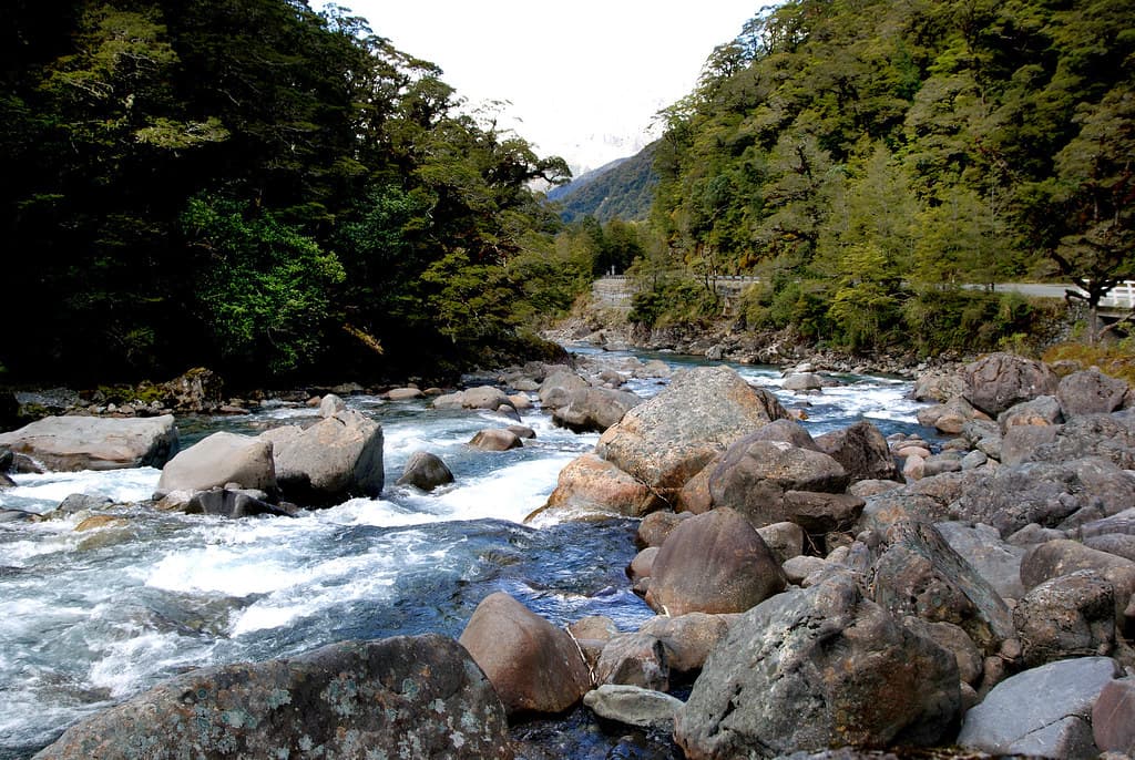 The Hollyford River. Fiordland NZ