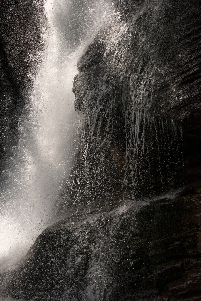 Baring Falls - Tree Shadow