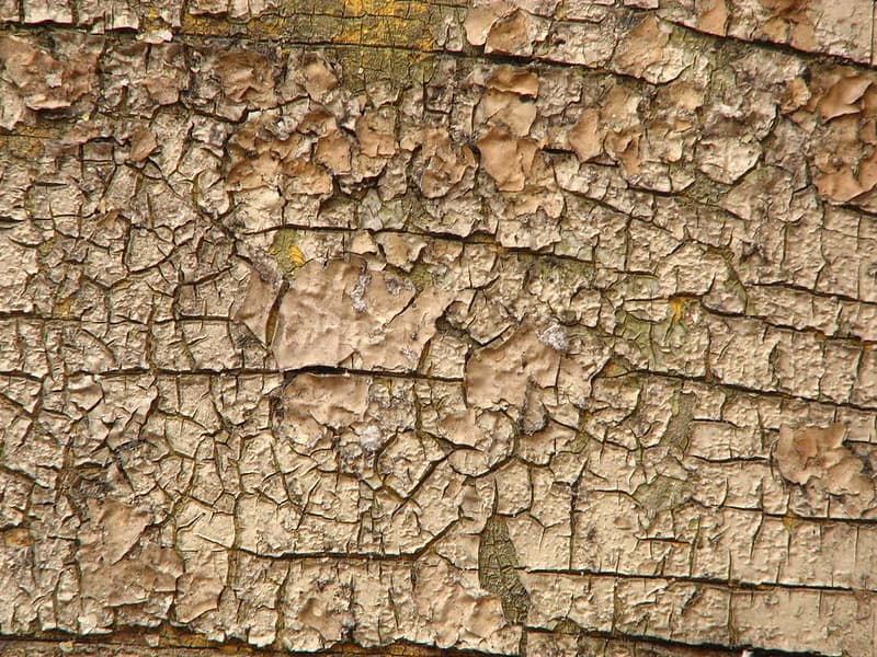 Old paint texture 1