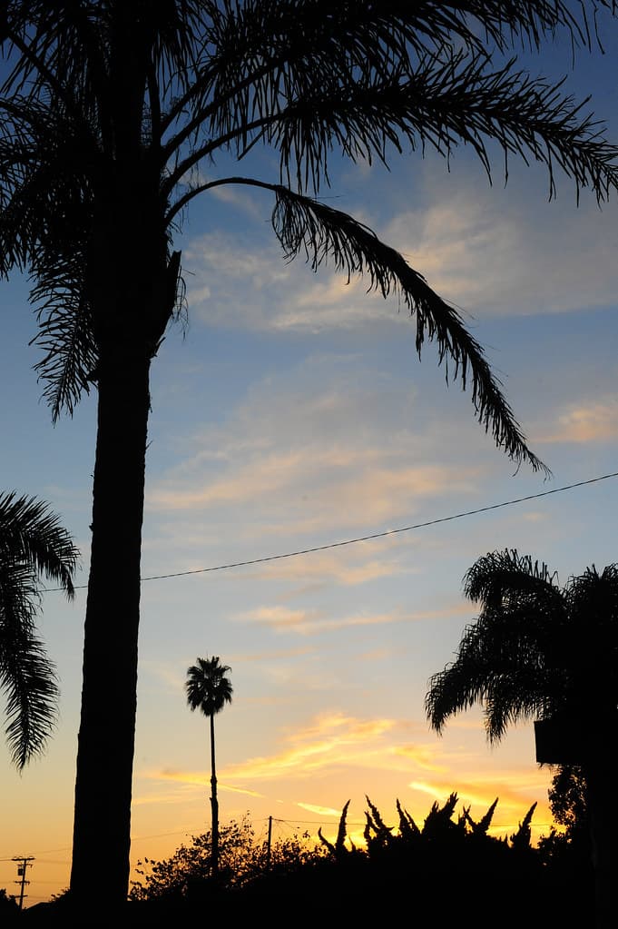 Ventura Beach House - ODR Trip