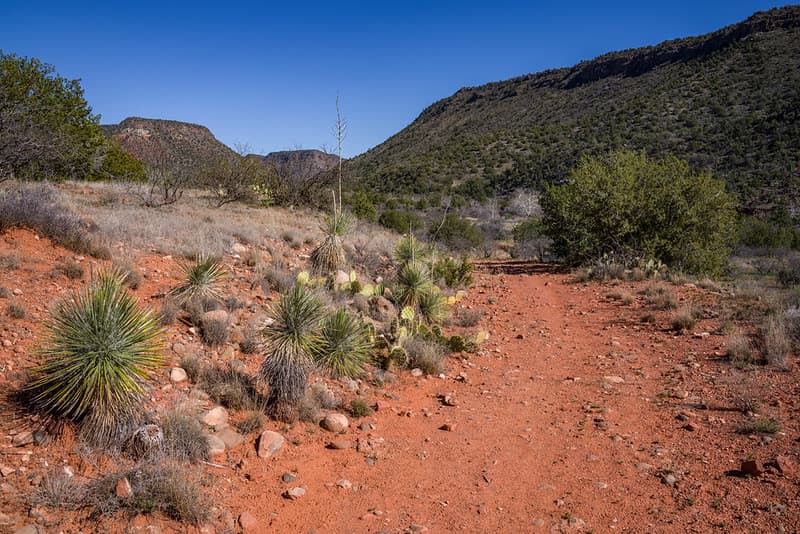 Woods Canyon Trail No. 93