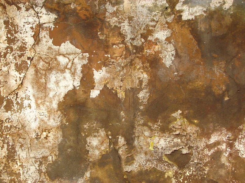 Plaster texture 2