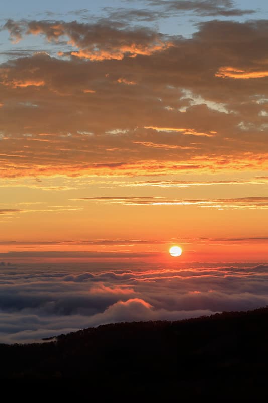 Sun Rising in an Ocean of Fog