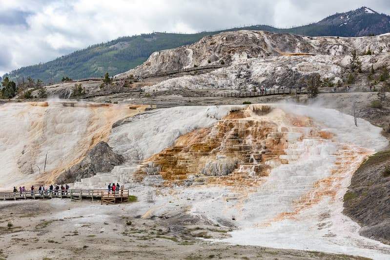 People exploring Mammoth Hot Spring boardwalks