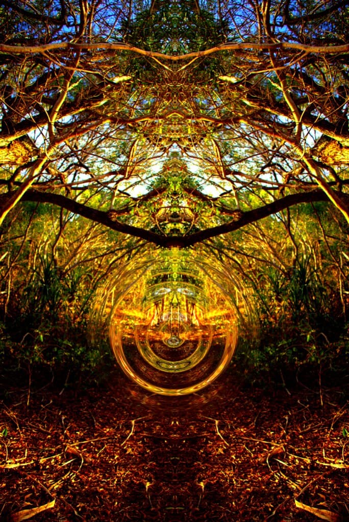 Abstract - Sacred Portal - The secret space program disclosure