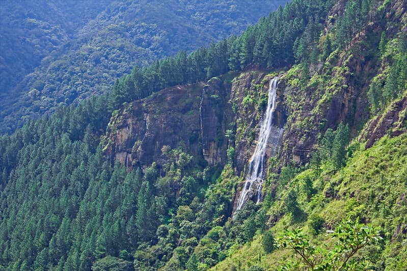 Devil's Staircase