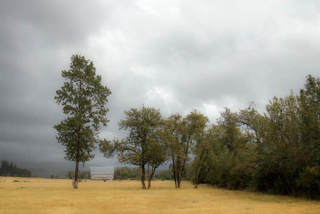 Misty rain and barn, Willamette Valley Oregon