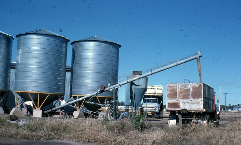 Goondiwindi, pumping wheat (1976)