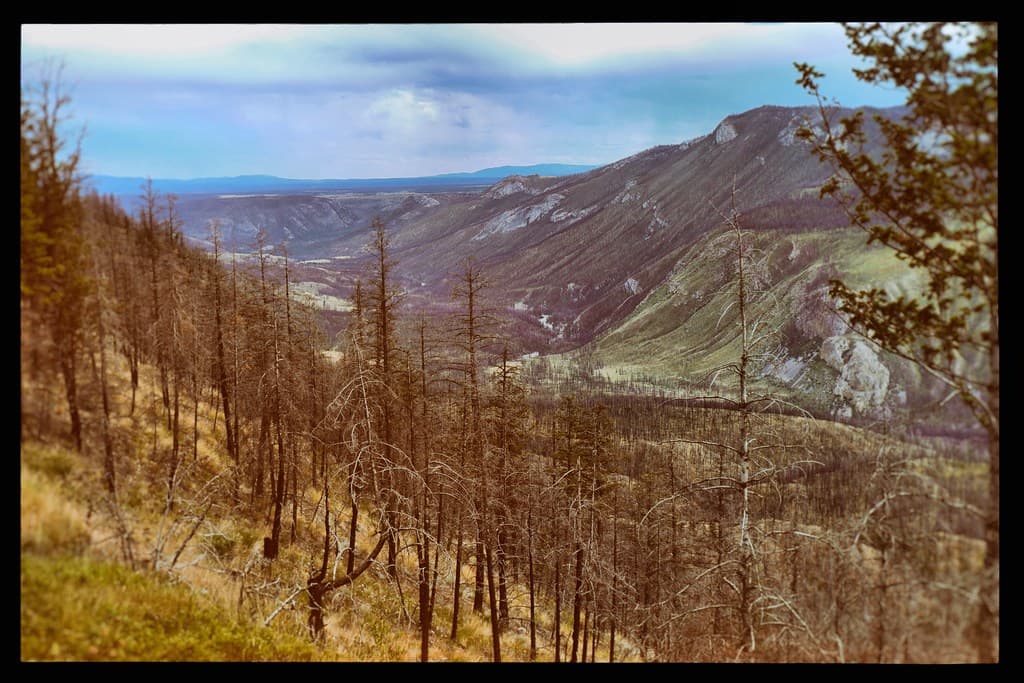 Leaping across the mountains, bounding over the hills
