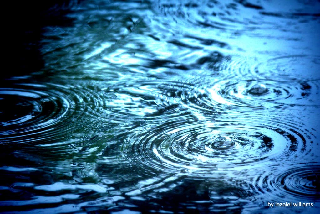 Rain - Jupiter Agreements - IMG 0151-002