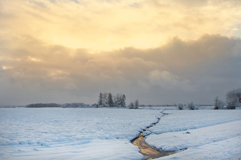 Snow in the Willamette Valley, Oregon, late afternoon.