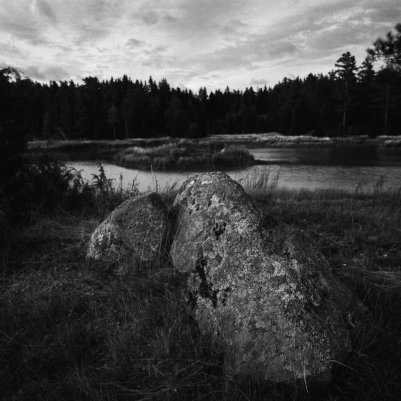 A lake in late August