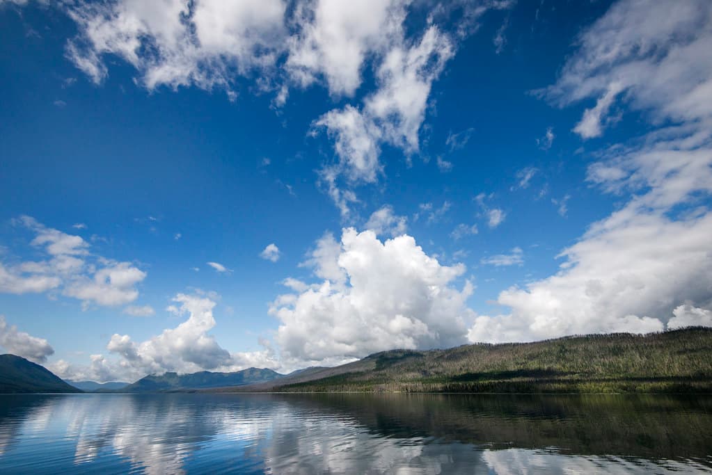 Blue Sky Day