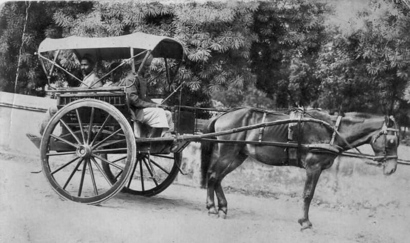 Horse and trap in India