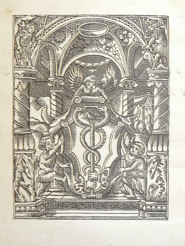 Woodcut printer's device of Johann Froben